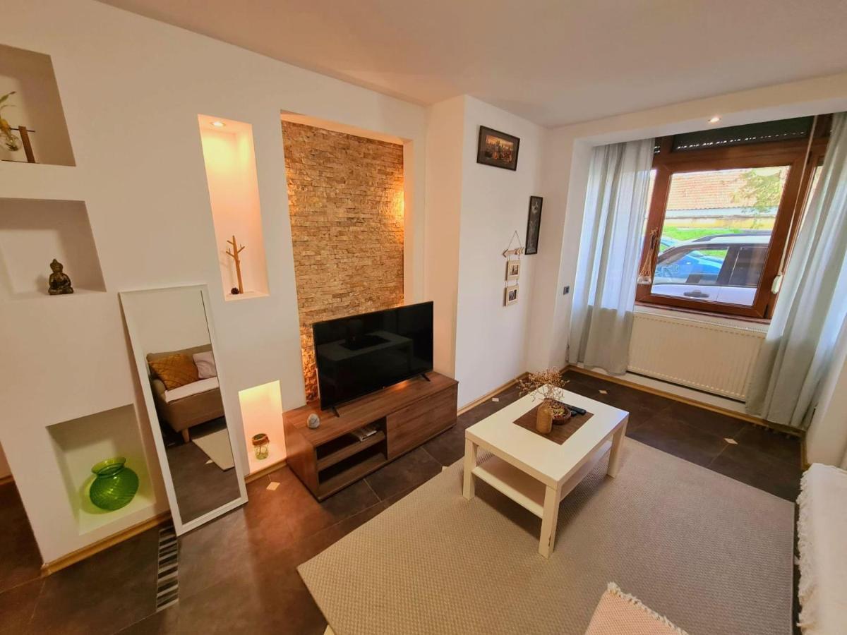 Cosy Apartment In The City Center Arad Exterior foto